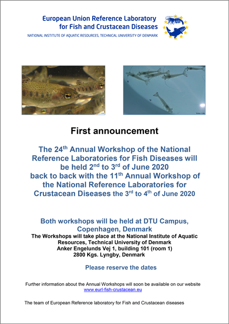 Announcement flyer